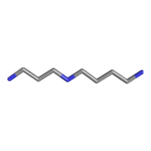 3D ball-and-stick model of the spermidine molecule